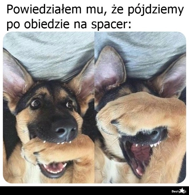 
    Sama radość 