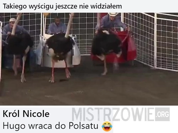 
    Wyścig