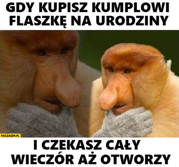 
    Gdy kupisz kumplowi flaszkę na urodziny i czekasz cały wieczór aż otworzy typowy Polak nosacz małpa