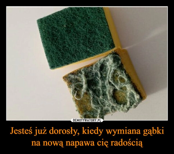 
    Jesteś już dorosły, kiedy wymiana gąbki na nową napawa cię radością 