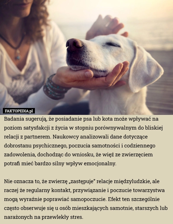 
    Badania sugerują, że posiadanie psa lub kota może wpływać na poziom satysfakcji