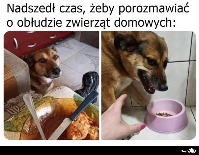 
    Do ich jedzenia nawet nie podchodź 