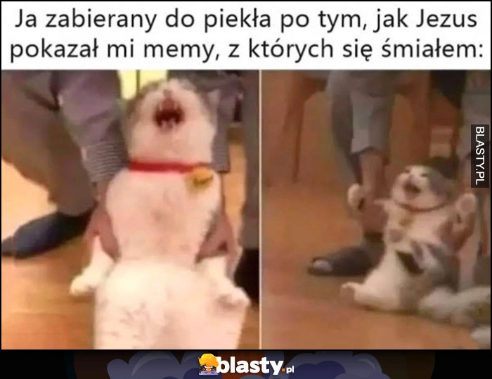 
    Kot kotek ja zabierany do piekła, po tym jak Jezus pokazał mi memy z których się śmiałem