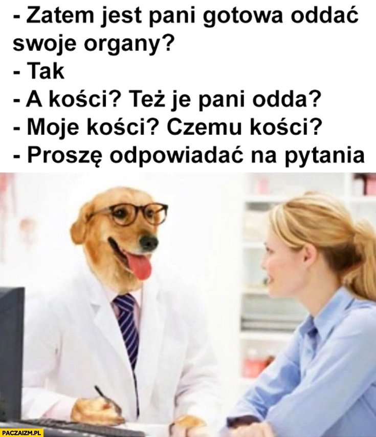 
    Pies lekarz jest pani gotowa oddać swoje organy? A kości? Też je pani odda?
