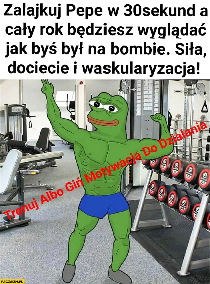 
    Zalajkuj Pepe w 30 sekund a cały rok będziesz wyglądać jakbyś był na bombie. Siła docięcie i waskularyzacja