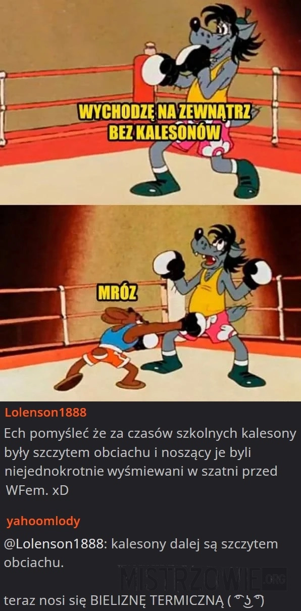 
    Kalesony