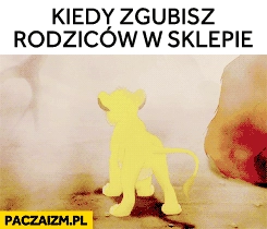 
    Kiedy zgubisz rodziców w sklepie Król Lew Simba