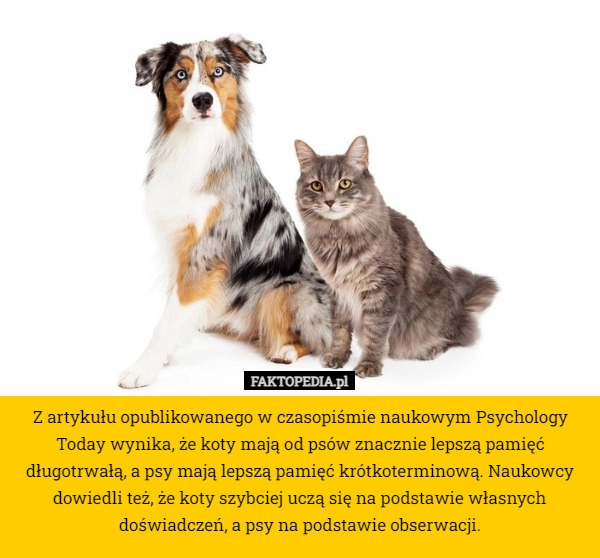 
    Z artykułu opublikowanego w czasopiśmie naukowym Psychology Today wynika,