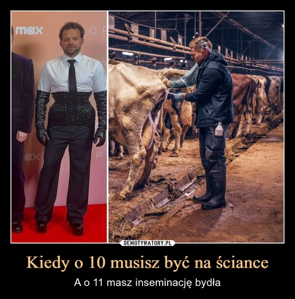 
    Kiedy o 10 musisz być na ściance