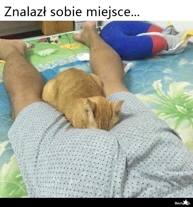 
    Miejsce na drzemkę 