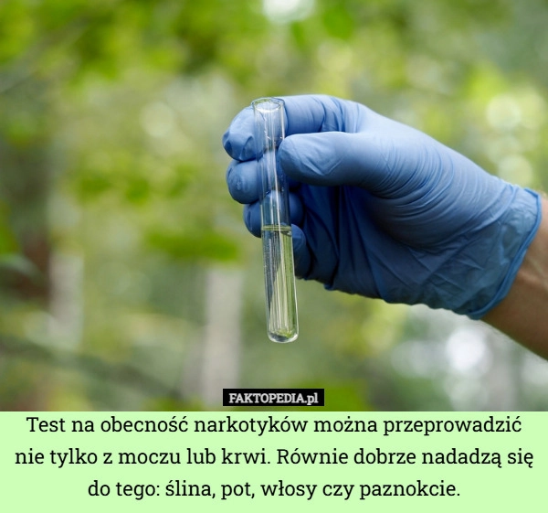 
    Test na obecność narkotyków można przeprowadzić nie tylko z moczu lub krwi.