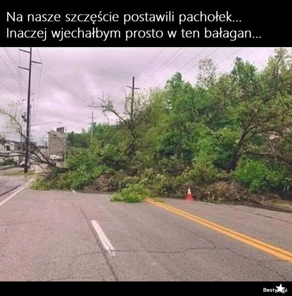 
    Całe szczęście! 