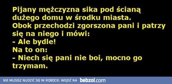 
    Niech się pani nie boi