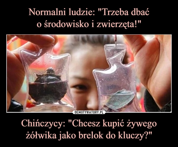 
    Normalni ludzie: "Trzeba dbać
o środowisko i zwierzęta!" Chińczycy: "Chcesz kupić żywego żółwika jako brelok do kluczy?"