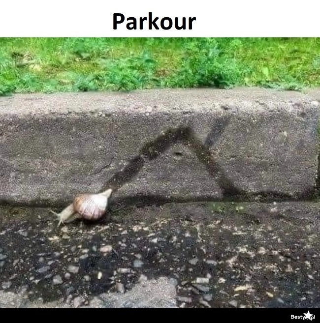 
    Parkour