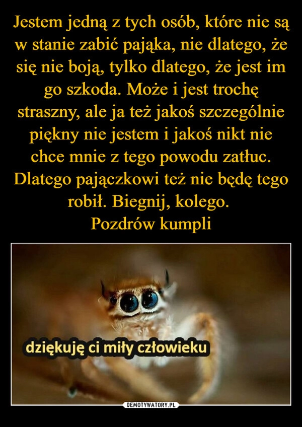 
    Jestem jedną z tych osób, które nie są w stanie zabić pająka, nie dlatego, że się nie boją, tylko dlatego, że jest im go szkoda. Może i jest trochę straszny, ale ja też jakoś szczególnie piękny nie jestem i jakoś nikt nie chce mnie z tego powodu zatłuc. Dlatego pajączkowi też nie będę tego robił. Biegnij, kolego. 
Pozdrów kumpli