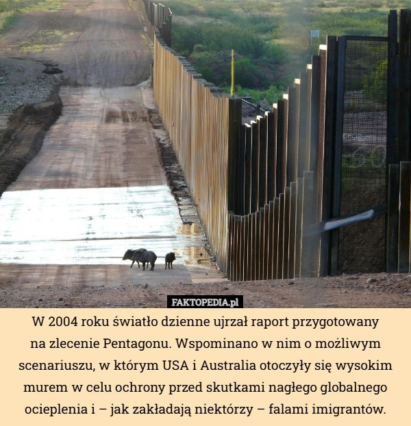 
    W 2004 roku światło dzienne ujrzał raport przygotowany
na zlecenie Pentagonu.