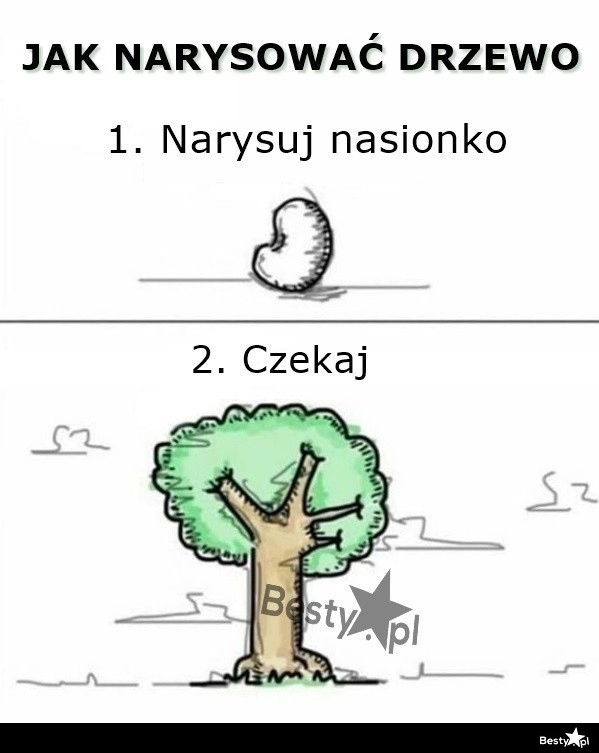 
    Jak narysować drzewo 