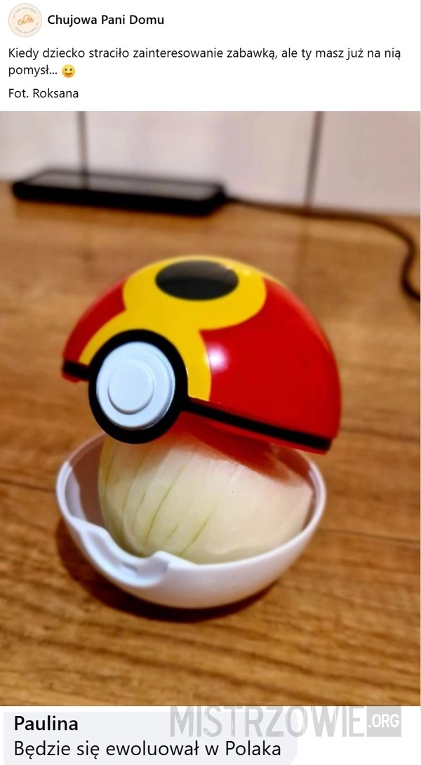 
    Pokeball