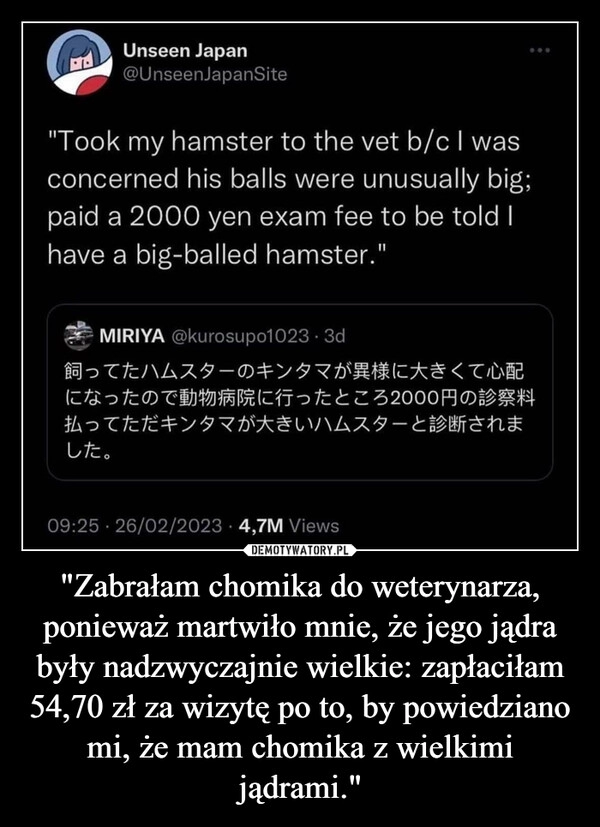 
    "Zabrałam chomika do weterynarza, ponieważ martwiło mnie, że jego jądra były nadzwyczajnie wielkie: zapłaciłam 54,70 zł za wizytę po to, by powiedziano mi, że mam chomika z wielkimi jądrami."