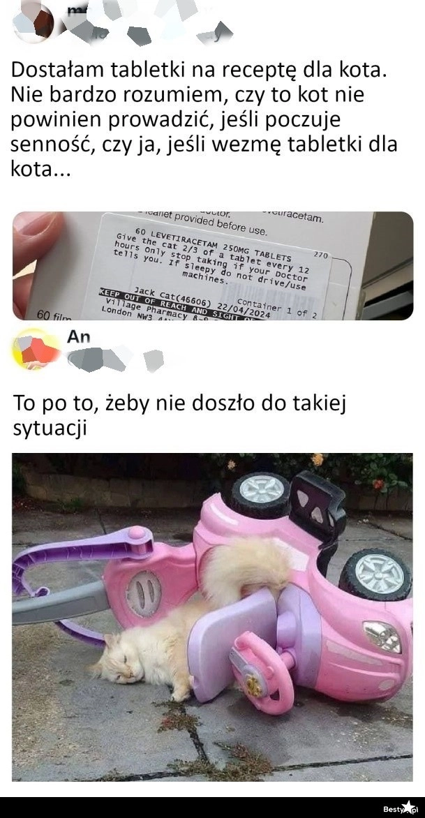 
    Tabletki dla kota 