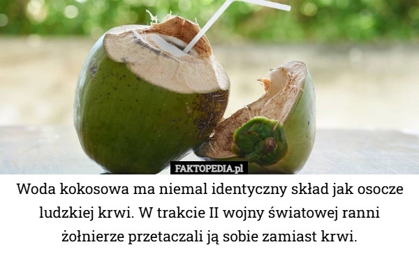 
    Woda kokosowa ma niemal identyczny skład jak osocze ludzkiej krwi. W trakcie II...