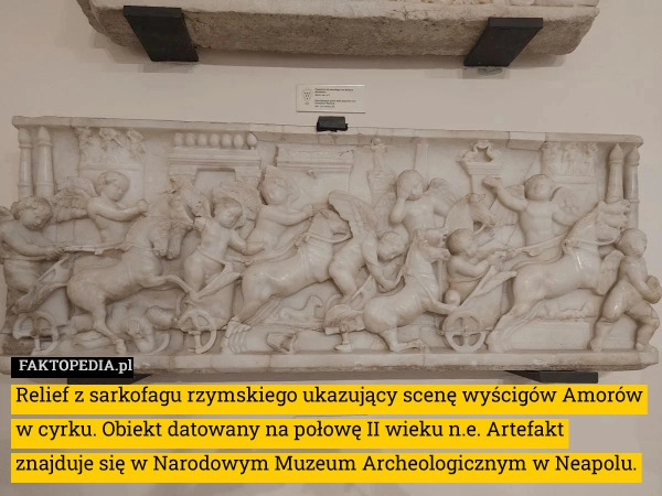 
    Relief z sarkofagu rzymskiego ukazujący scenę wyścigów Amorów w cyrku. Obiekt