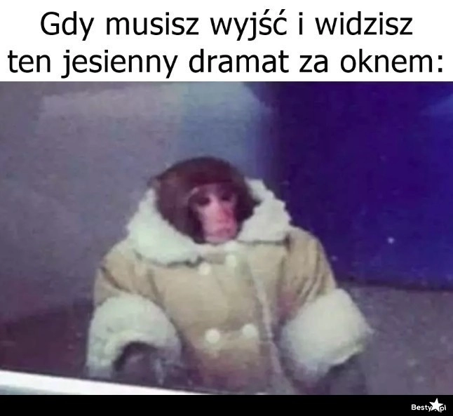 
    Zostałoby się w domu 