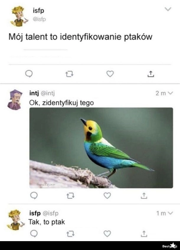 
    Talent 