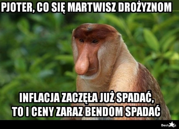 
    Oderwani od rzeczywistości 