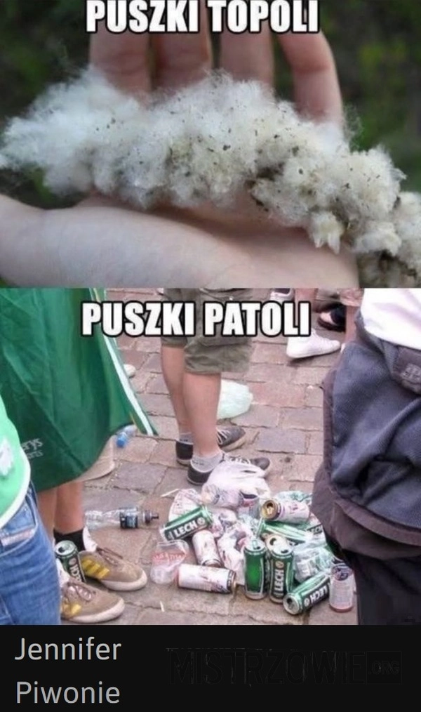 
    Puszki