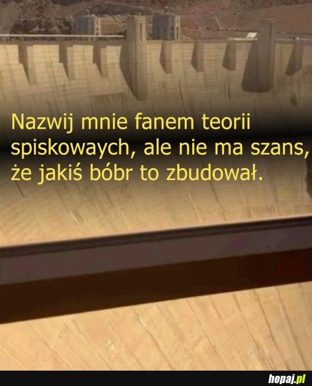 
    Takie tam przypuszczenie