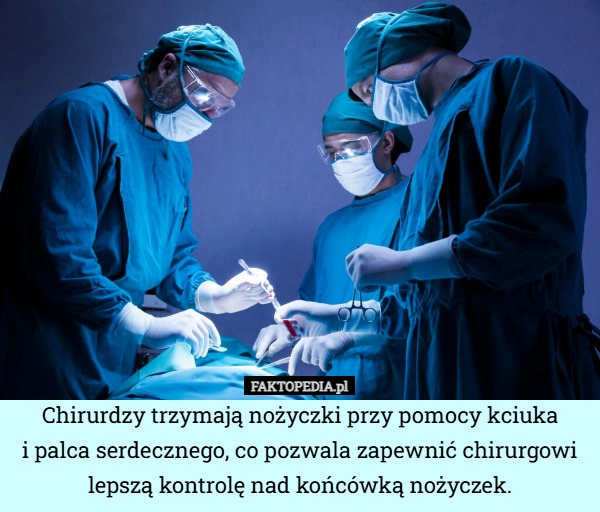 
    Chirurdzy trzymają nożyczki przy pomocy kciuka
i palca serdecznego, co pozwala