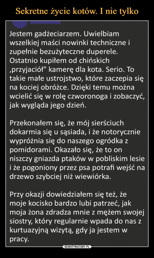 
    Sekretne życie kotów. I nie tylko