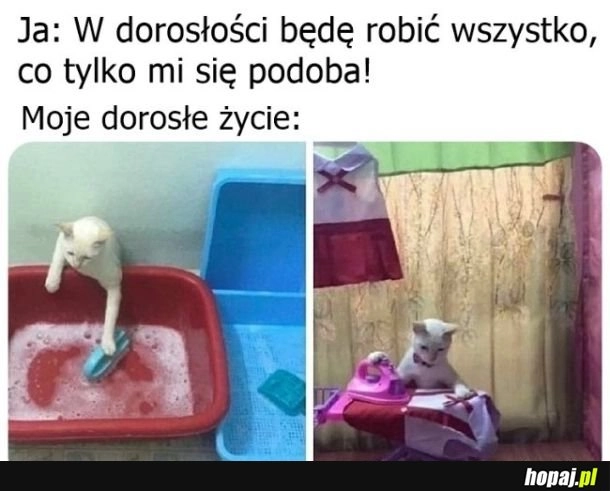 
    Dorosłość