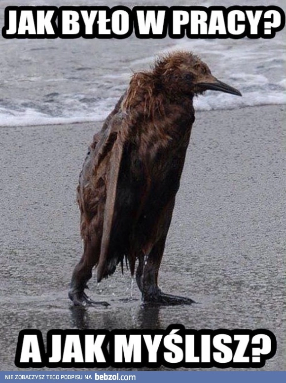 
    Praca