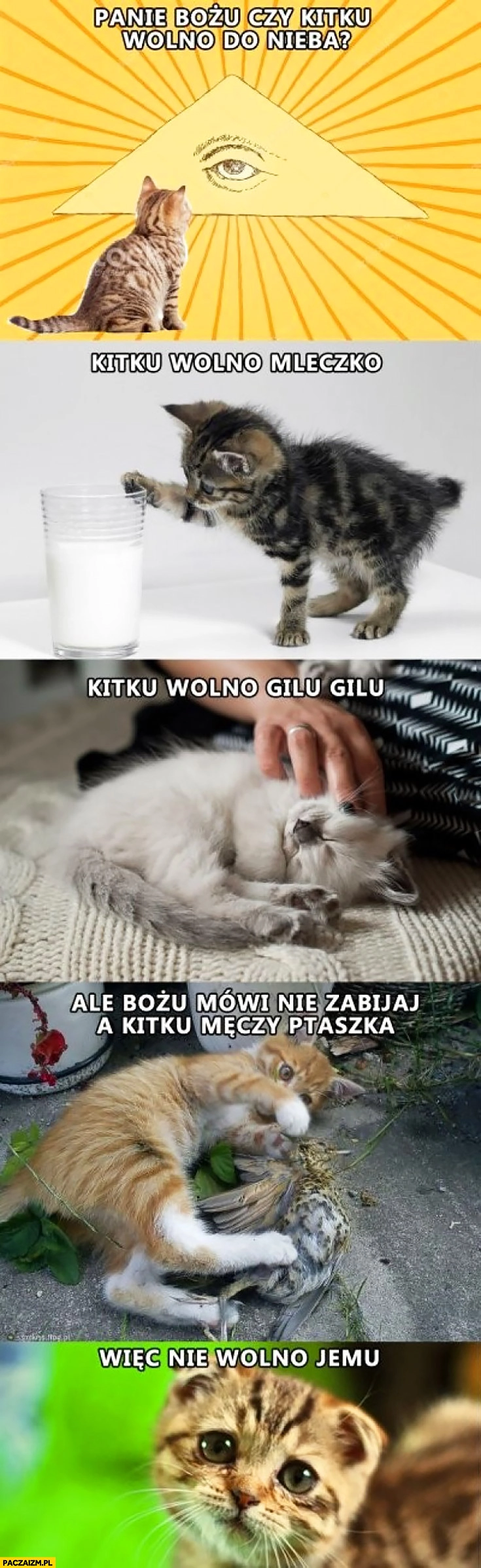 
    Panie Boże czy kitku wolno do nieba? Kitku wolno mleczko, gilu gilu, ale Bozia mówi nie zabijaj a kitku męczy ptaszka, więc nie wolno jemu