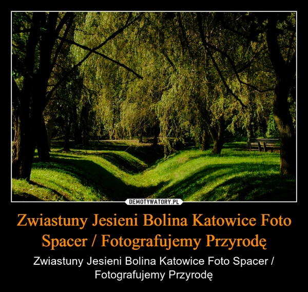 
    Zwiastuny Jesieni Bolina Katowice Foto Spacer / Fotografujemy Przyrodę