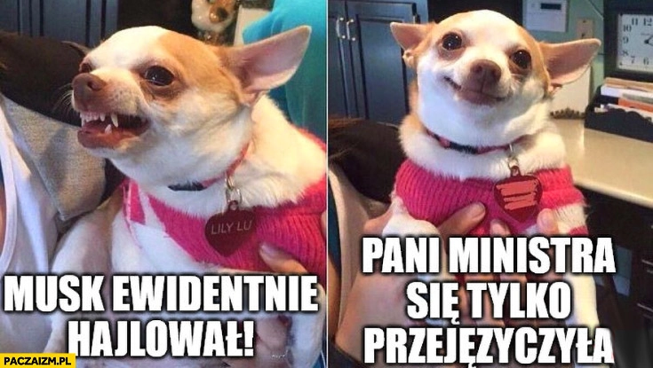 
    Musk ewidentnie hailowal vs pani ministra Nowacka tylko się przejęzyczyła pies piesek