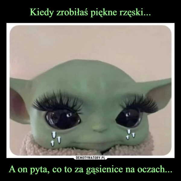 
    Kiedy zrobiłaś piękne rzęski... A on pyta, co to za gąsienice na oczach...