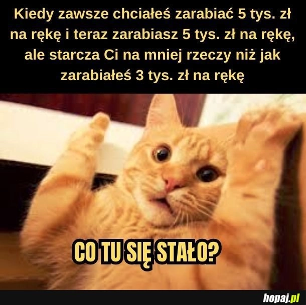 
    Niestety
