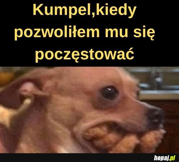 
    Ale jednym! 