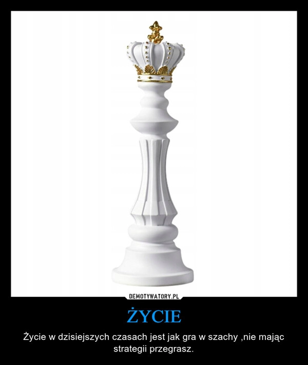 
    ŻYCIE