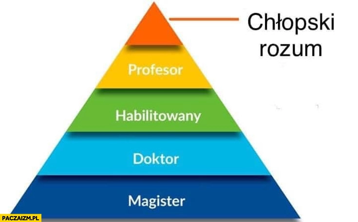 
    Magister, doktor, habilitowany, profesor na szczycie piramidy chłopski rozum