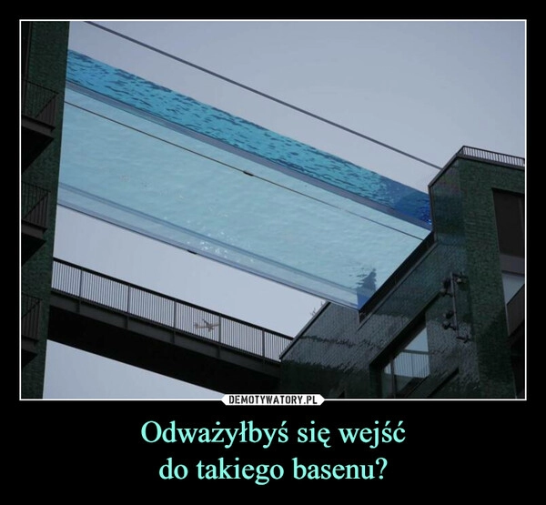 
    Odważyłbyś się wejść
do takiego basenu?