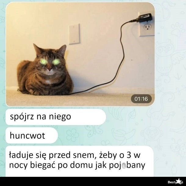 
    Ładowanie 