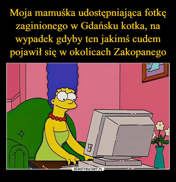 
    Moja mamuśka udostępniająca fotkę zaginionego w Gdańsku kotka, na wypadek gdyby ten jakimś cudem pojawił się w okolicach Zakopanego