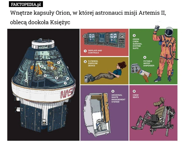 
    Wnętrze kapsuły Orion, w której astronauci misji Artemis II, oblecą dookoła