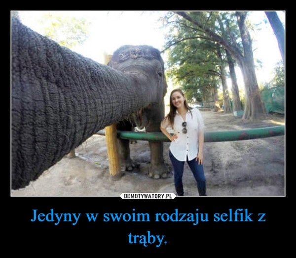 
    Jedyny w swoim rodzaju selfik z trąby.