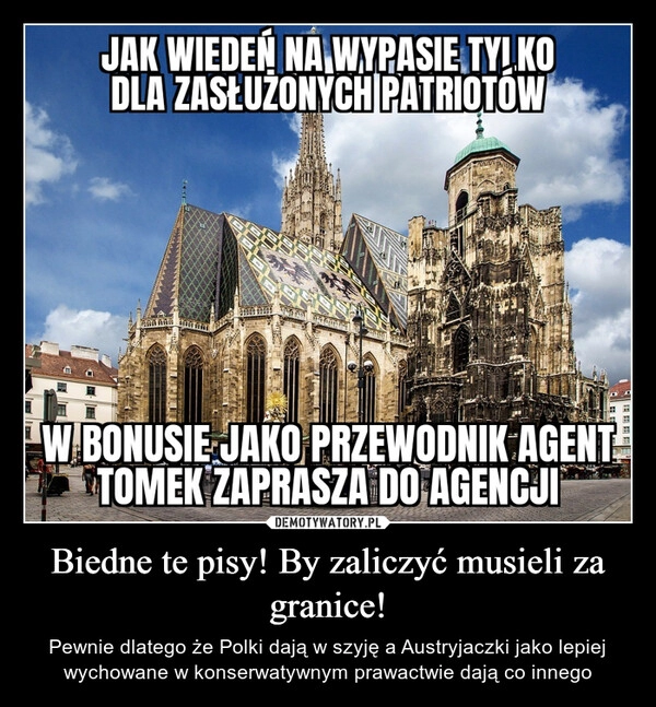 
    Biedne te pisy! By zaliczyć musieli za granice!